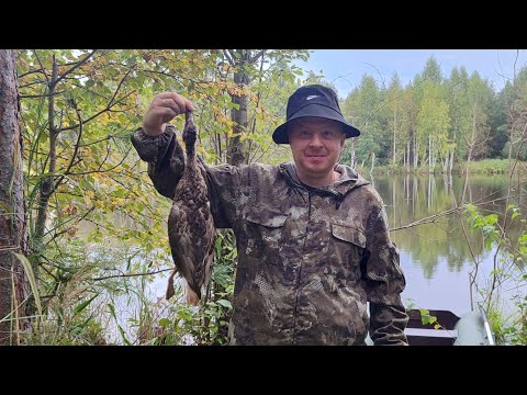 Видео: Открытие Охоты на Утку / Шикарные налеты один за другим. 