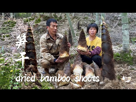 Видео: Побеги бамбука растут повсюду в бамбуковом лесу, и бабушка выкапывает их, чтобы высушить