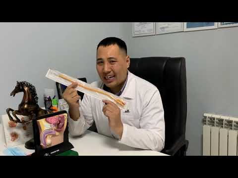 Видео: Сақтанбасаң мүшең 5 есе Үлкейіп кетеді😱 Шланга тығып емдейді.