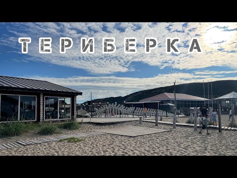 Видео: Путешествие в Териберку. В поисках кита «полосатика».