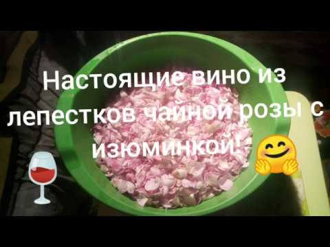 Видео: Настоящие вино из лепестков чайной розы с изюминкой!