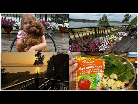 Видео: 💥КОЕ ЧТО ИЗ НЕИЗДАННОГО💥ДАЧА🏘️ЗАГОТОВКИ🥗ПОВСЕДНЕВНЫЕ ДЕЛА❤️