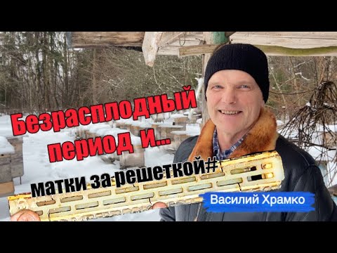 Видео: Безрасплодный период! В гостях у Василия Храмко!