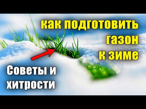 Видео: Как подготовить газон к зиме.