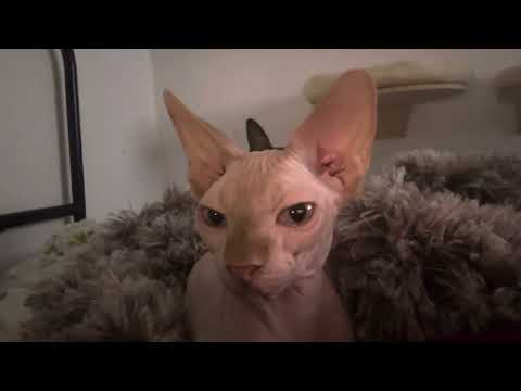 Видео: 21 октября 2025 г.