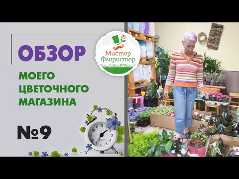Видео: #9 Обзор поставки комнатных растений. Цветочный салон "Мистер Флористер"