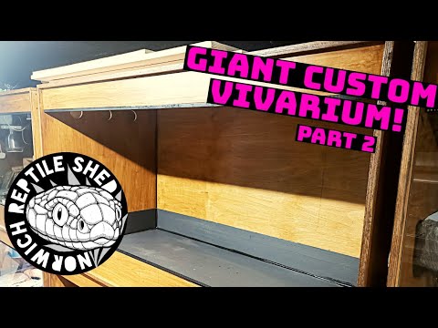 Видео: Строительство гигантского 6-футового вивария для рептилий | Часть 2 #рептилии #сделай сам
