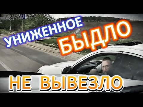 Видео: Униженное БЫДЛО не вывезло. Воронеж. выпуск №70 + Видосы от подписчиков. Май 2025