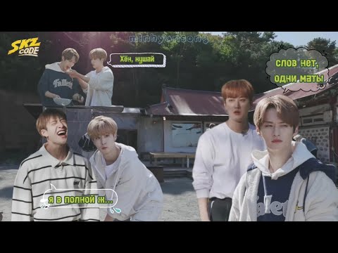 Видео: стреи пытаются выжить