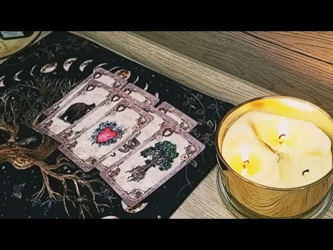 Видео: Някой е пред избор.Не може да се определи.Води някакви борби.
