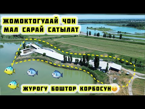 Видео: ЖОМОКТОЙ ЖЕРДЕН чон ФАЗЕНДА САРАЙЫ МЕНЕН САТЫЛАТ. 90сотых жер кызыл китеп. 350.000$. Көлү да бар!!