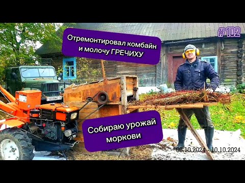 Видео: Отремонтировал комбайн и молочу ГРЕЧИХУ. Собираю урожай моркови и пеку из нее пирог.