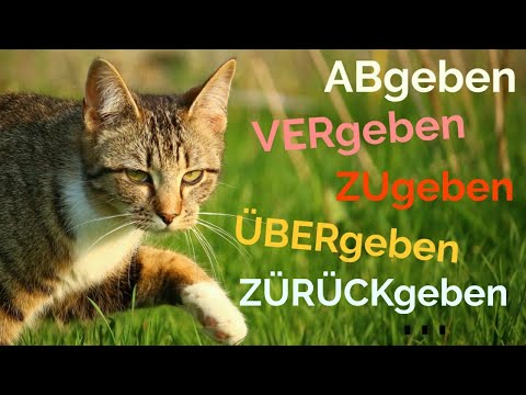 Видео: Глаголът "geben" + представки / Das Verb "geben" + Präfixe (A2, B1, B2)