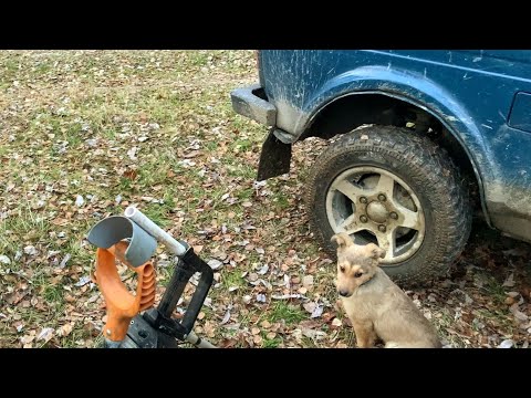 Видео: КАК с СОБАКОЙ мы ГУЛЯЛИ и ЛАТУНЬ НАСОБИРАЛИ