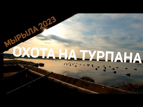 Видео: ОХОТА НА ТУРПАНА В ЯКУТИИ, МЫРЫЛА 2023