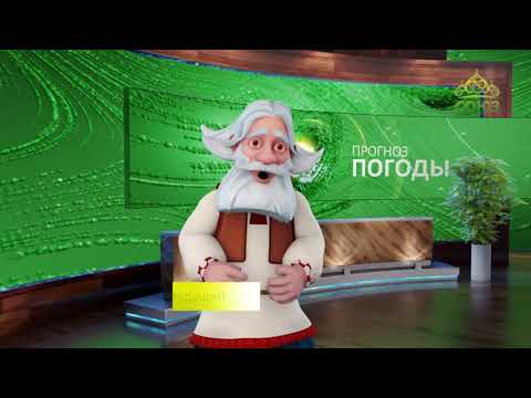 Видео: Прогноз погоды. 16 июля 2019