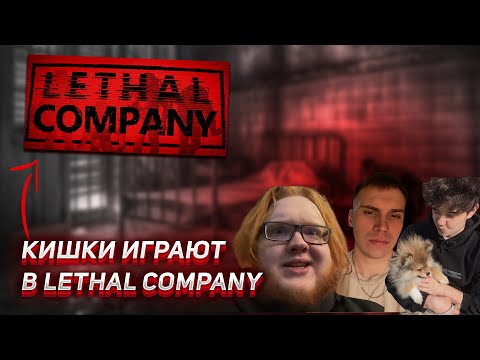 Видео: ГЛЕБ РОСТИК И ХЕЛИН ВЕРНУЛИСЬ В LETHAL COMPANY | UGLYFACEKID