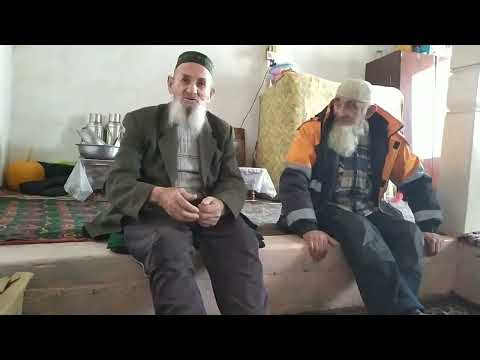 Видео: КАЛОНСОЛОНИ 🥀🌷⚘ЯЗГУЛОМ ⚘🌹🌷☘🍀☘