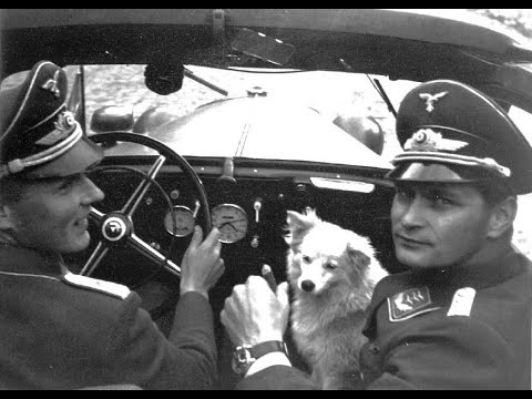 Видео: История покорения неба . 37 часть