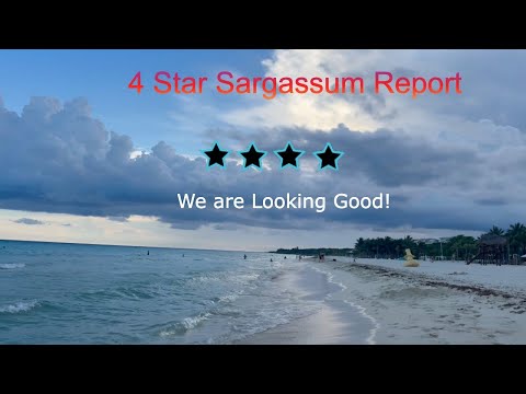 Видео: Сегодня, 8 октября! Обновление отчёта о саргассумах в Плайякаре, Плайя-дель-Кармен: всё хорошо!