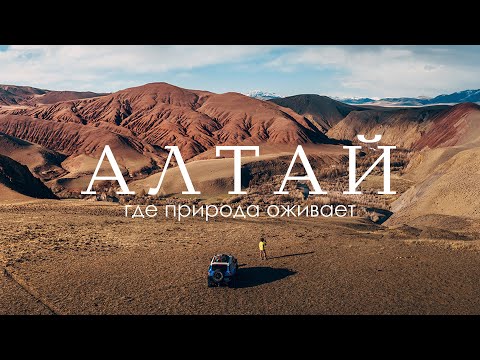 Видео: Алтай – пробуждение природы | Все сезоны за неделю | Автопутешествие