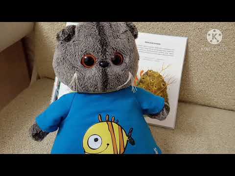 Видео: Басик следит за Федей. Как вёл себя Федя.😱