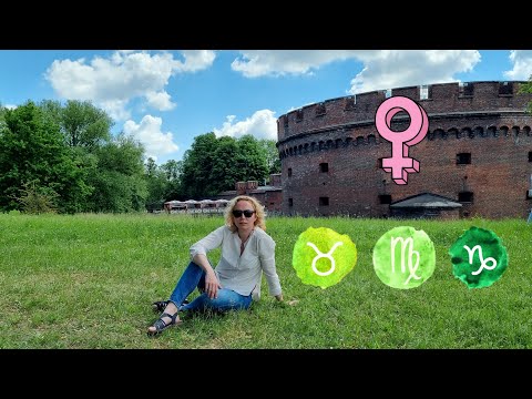 Видео: Венера в земных знаках
