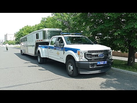 Видео: Подборка с полицией