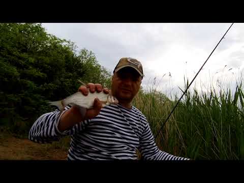 Видео: рыбалка-отдых, рыбалка-эксперимент 23 05 2021