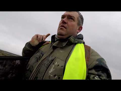 Видео: Охота на шакала 2022