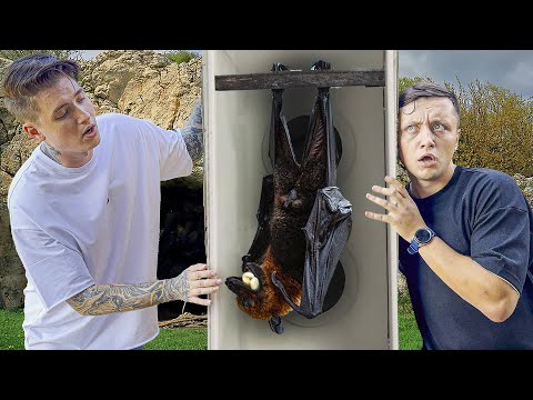 Видео: КАЖЕТСЯ НАЩУПАЛ С МАКСОМ ВАЩЕНКО.