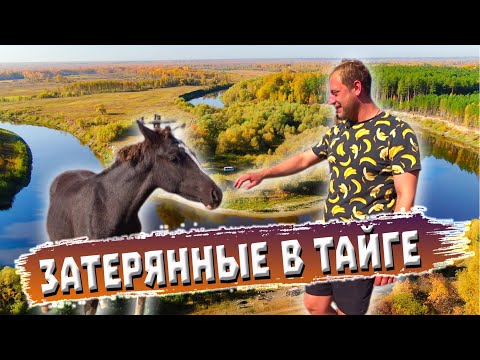 Видео: 321. Деревня Кордон - Бергамак и династия Кистиных. Мёртвая деревня оживает! Урочище Кордон-Бергамак