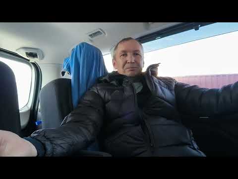 Видео: Японка без хлопот и забот! или чего ждать от покупки авто из Японии?