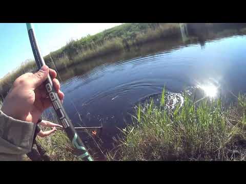 Видео: Ловля сазана на удочку! 1 июня 2025 г. оз. Сартлан!