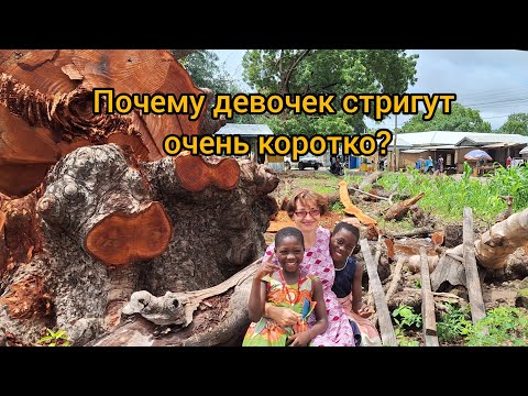 Видео: #70 Африканские волосы : Девочки как мальчики, Женщины как Королевы.