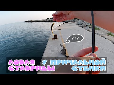 Видео: Ловля ставриды с берега у причальной стенки. Ставрида на самодур. Ставрида как ловить. Ставрида рыба