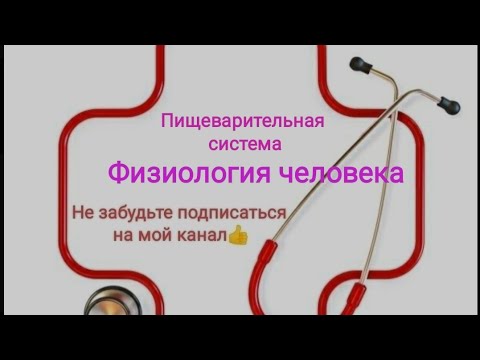 Видео: Физиология желудочно кишечного тракта. Двигательная функция.