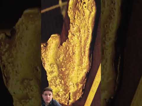 Видео: #находка #metaldetecting #находкисметаллоискателем #equinox #коп