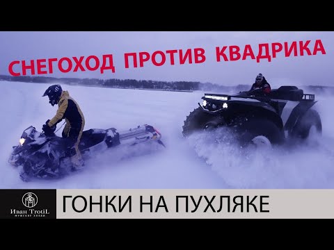 Видео: Катка по пухляку на Сокол Трофи и BRP Summit. Колесо против гусеницы. Снегоход против квадроцикла.