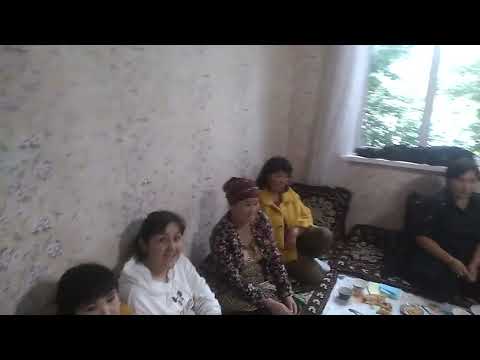 Видео: 14 ноября 2025 г.