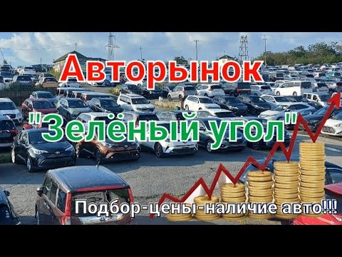 Видео: Владивосток рынок "Зелёный угол".Подбор для клиента из Новосибирска!!!