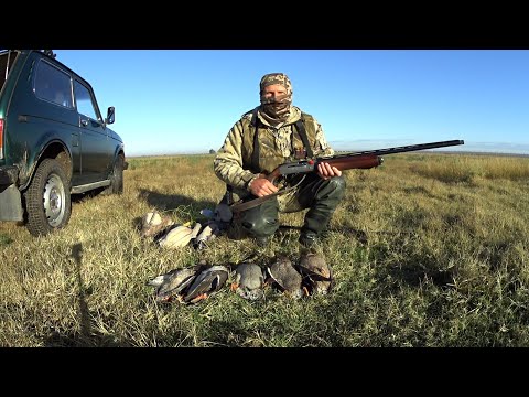 Видео: Охота на утку осенью, открываю сезон.