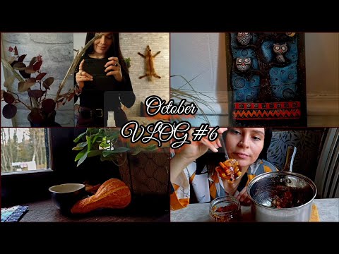 Видео: 🗓 October VLOG #6 🍁 Уютный ВЛОГ октября | неВАРЕНЬЕ | Посылки OZON | КОФЕ | ЧТЕНИЕ | ЧАЙ | ВКУСНЯШКИ