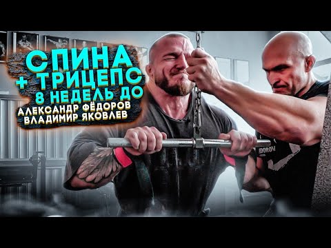 Видео: АЛЕКСАНДР ФЁДОРОВ И ВЛАДИМИР ЯКОВЛЕВ/СПИНА + ТРИЦЕПС/8 НЕДЕЛЬ ДО.