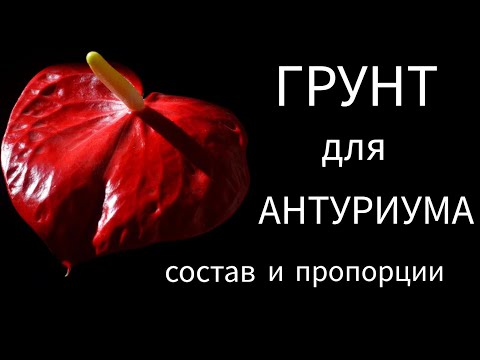 Видео: ГРУНТ для Антуриума. СОСТАВ и ПРОПОРЦИИ.