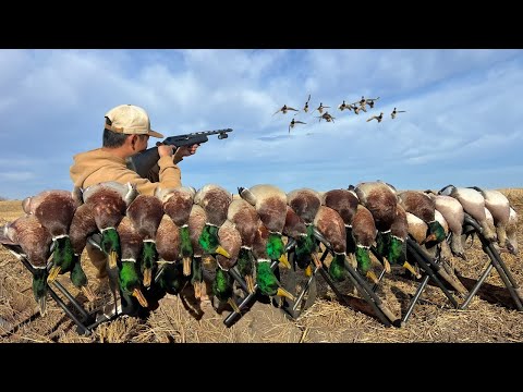 Видео: 3 дня охоты на уток. Несвежие утки и свиязи середины сезона!