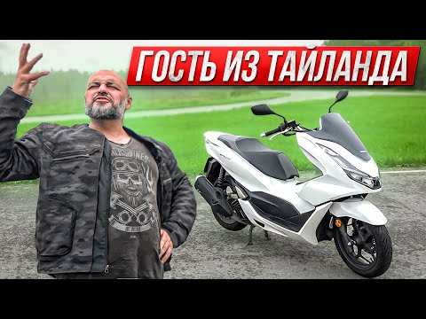 Видео: Honda PCX 125: гость из Таиланда. Идеальный скутер для города? #МОТОЗОНА №125