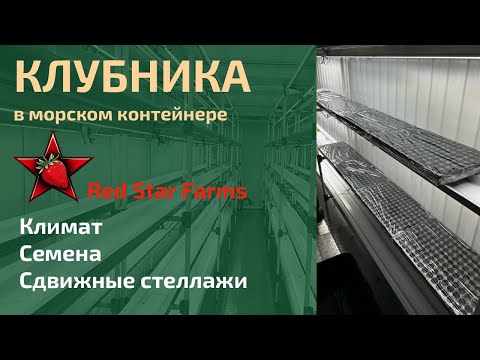Видео: Высадили 1200 семян клубники в морском контейнере!