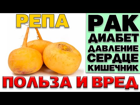 Видео: РЕПА - ПОЛЬЗА И ВРЕД  (ЗАБЫТЫЙ КОРНЕПЛОД)