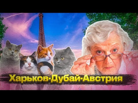 Видео: Почему БЕЖЕНЦЫ БЕГУТ ИЗ АВСТРИИ и ЧЕХИИ..